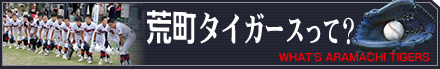 荒町タイガースって?